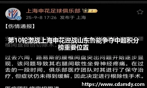 第10轮激战上海申花迎战山东鲁能争夺中超积分榜重要位置